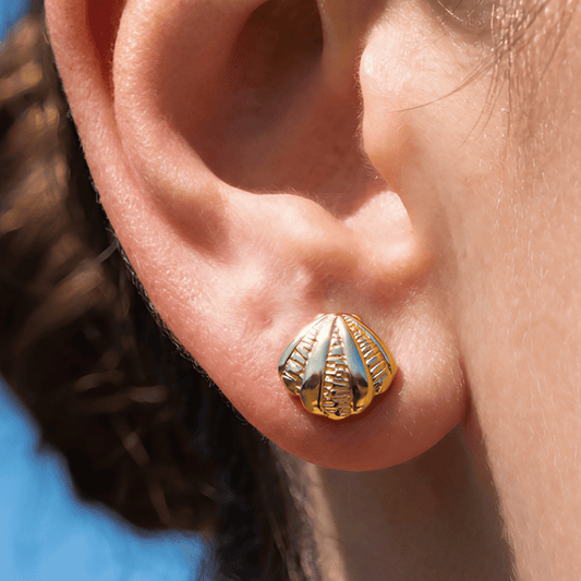 Gilded Seashell Stud Earrings