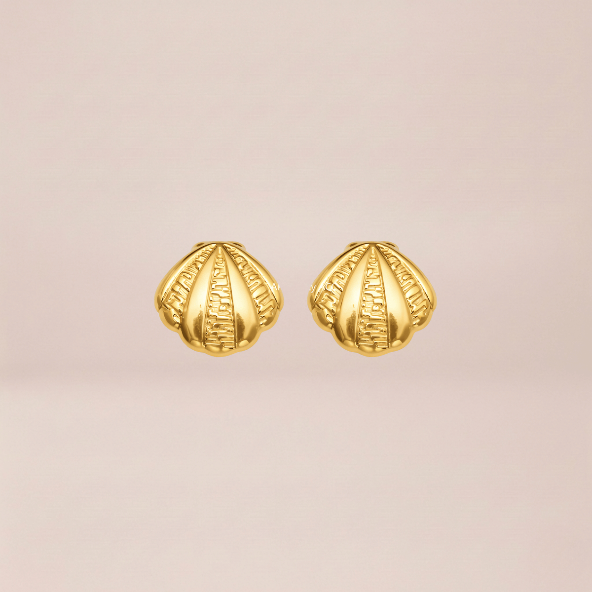 Gilded Seashell Stud Earrings