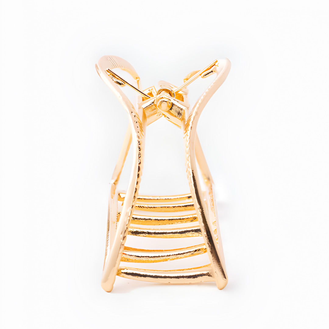 The Architectural Claw Clip